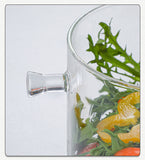 High borosilicate glass pots and pans high temperature resistant stew pots and pans household soaking pots and pans transparent glass environmentally friendly soup pots and pans